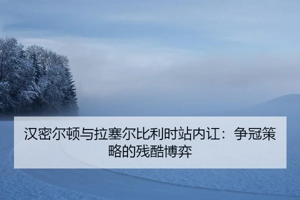 han-mi-er-dun-yu-la-sai-er-bi-li-shi-zhan-nei-hong-zheng-guan-ce-lve-de-can-ku-bo-yi-3-615.jpg
