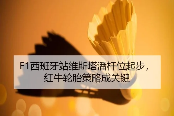 xi-ban-ya-zhan-wei-si-ta-pan-gan-wei-qi-bu-hong-niu-lun-tai-ce-lve-cheng-guan-jian-2-666.jpg