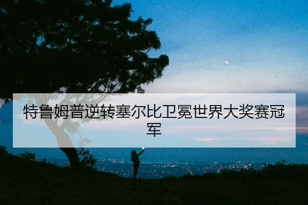 te-lu-mu-pu-ni-zhuan-sai-er-bi-wei-mian-shi-jie-da-jiang-sai-guan-jun-2-133.jpg