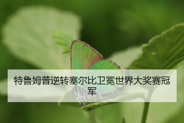 te-lu-mu-pu-ni-zhuan-sai-er-bi-wei-mian-shi-jie-da-jiang-sai-guan-jun-3-860.jpg
