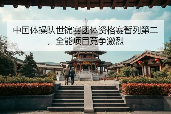 zhong-guo-ti-cao-dui-shi-jin-sai-tuan-ti-zi-ge-sai-zan-lie-di-er-quan-neng-xiang-mu-jing-zheng-ji-lie-3-349.jpg