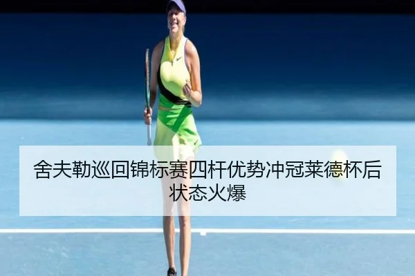 she-fu-lei-xun-hui-jin-biao-sai-si-gan-you-shi-chong-guan-lai-de-bei-hou-zhuang-tai-huo-bao-2-314.jpg