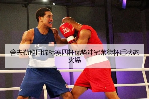 she-fu-lei-xun-hui-jin-biao-sai-si-gan-you-shi-chong-guan-lai-de-bei-hou-zhuang-tai-huo-bao-3-325.jpg