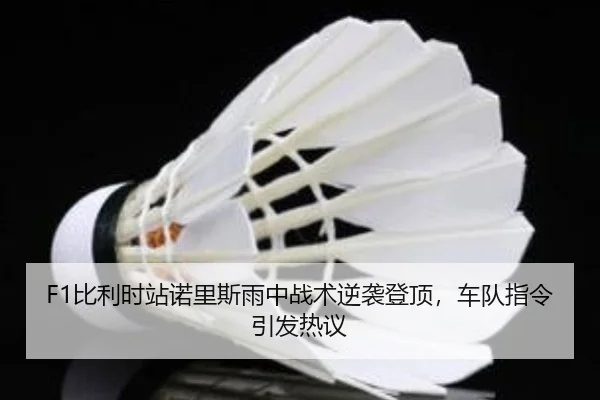 bi-li-shi-zhan-nuo-li-si-yu-zhong-zhan-shu-ni-xi-deng-ding-che-dui-zhi-ling-yin-fa-re-yi-3-258.jpg