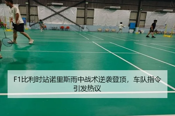 F1比利时站诺里斯雨中战术逆袭登顶，车队指令引发热议